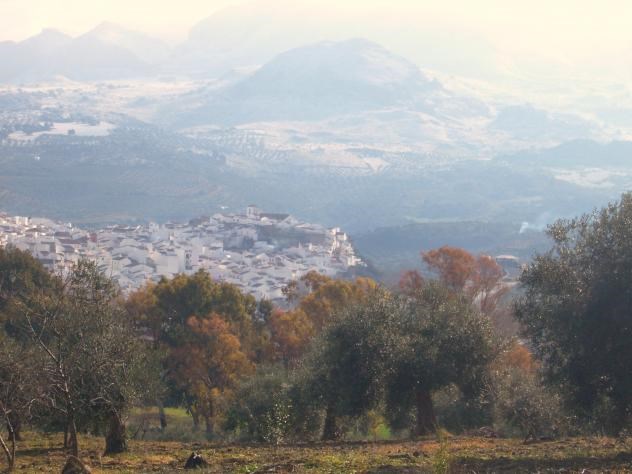 Ilustración de El Burgo