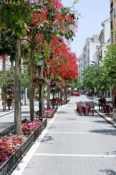 Ilustración de Estepona