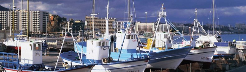Ilustración de Estepona