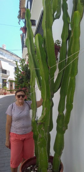 Ilustración de Estepona