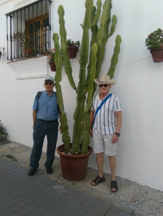 Ilustración de Estepona