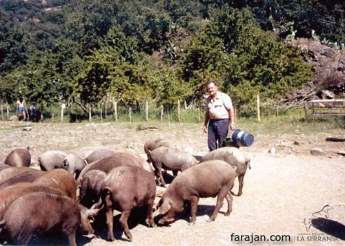 Ilustración de Faraján