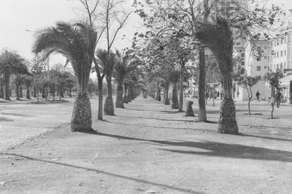 Ciudad Jardin