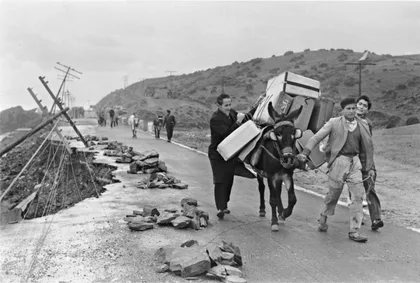 Efectos del Temporal