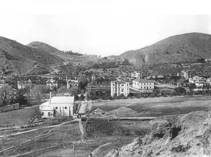 Limonar en Primer Termino Iglesia de San Miguel