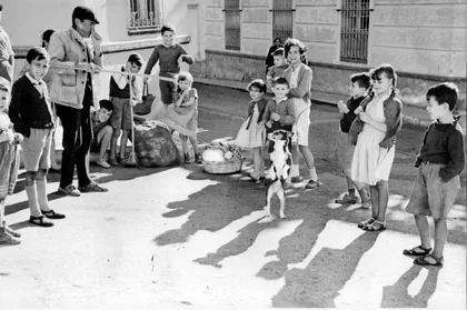Espectaculo Callejero