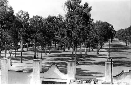 Paseo de Martiricos