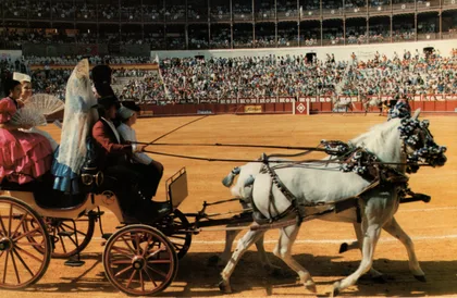 Tradición, Belleza y Espectáculo
