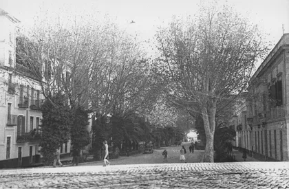 Alameda de Colón