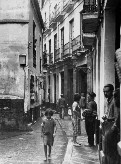 Calle Camas