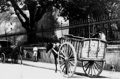 Carro de la Basura