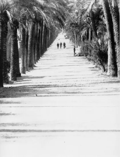 Lateral del Parque