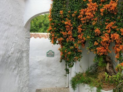 Ilustración de Frigiliana