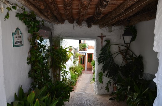Callejón del arriero