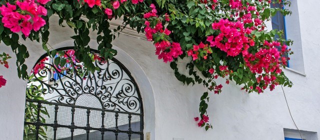 Ilustración de Frigiliana