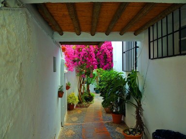 Ilustración de Frigiliana