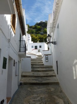 Ilustración de Frigiliana