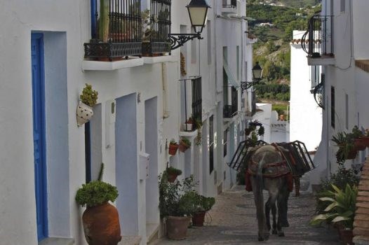 Ilustración de Frigiliana