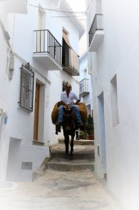 Ilustración de Frigiliana