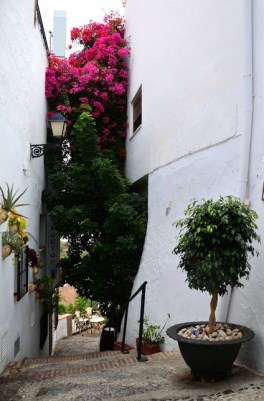 Ilustración de Frigiliana