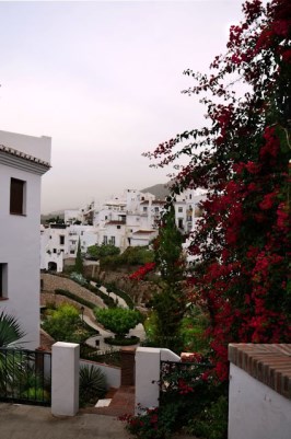 Ilustración de Frigiliana