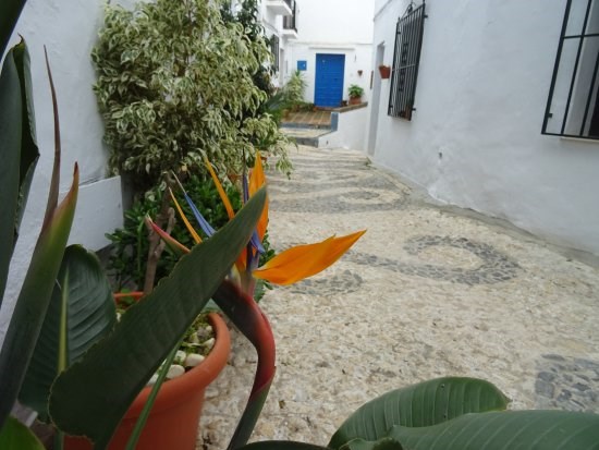 Ilustración de Frigiliana