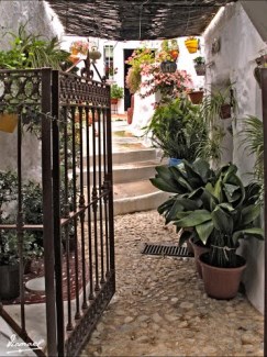Ilustración de Frigiliana