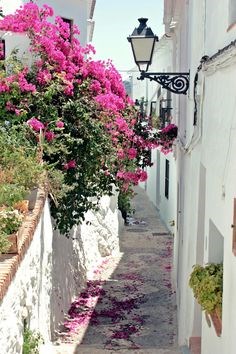 Ilustración de Frigiliana