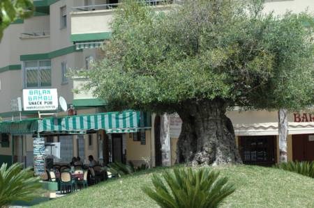 Ilustración de Fuengirola
