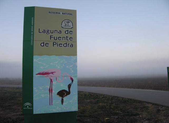 Ilustración de Fuente de Piedra