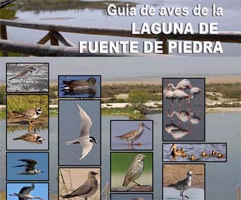 Ilustración de Fuente de Piedra