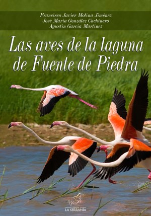 Ilustración de Fuente de Piedra