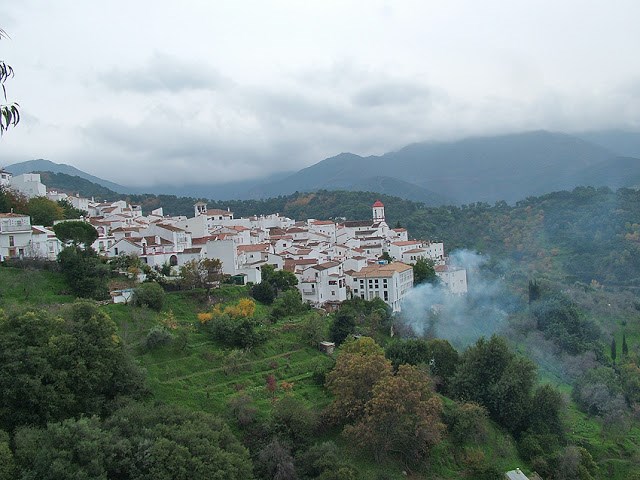 Genalguacil