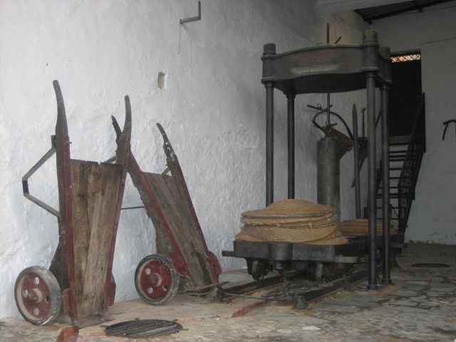 Ilustración de Guaro