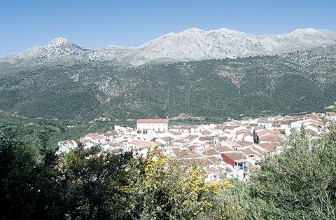Ilustración de Jimera de Líbar