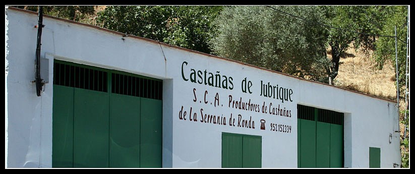 Ilustración de Jubrique