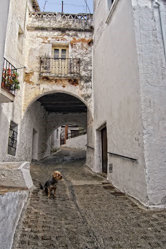 Ilustración de Jubrique