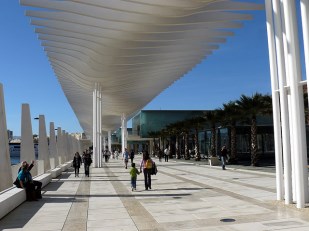 Ilustración de Málaga · generalidades y el centro