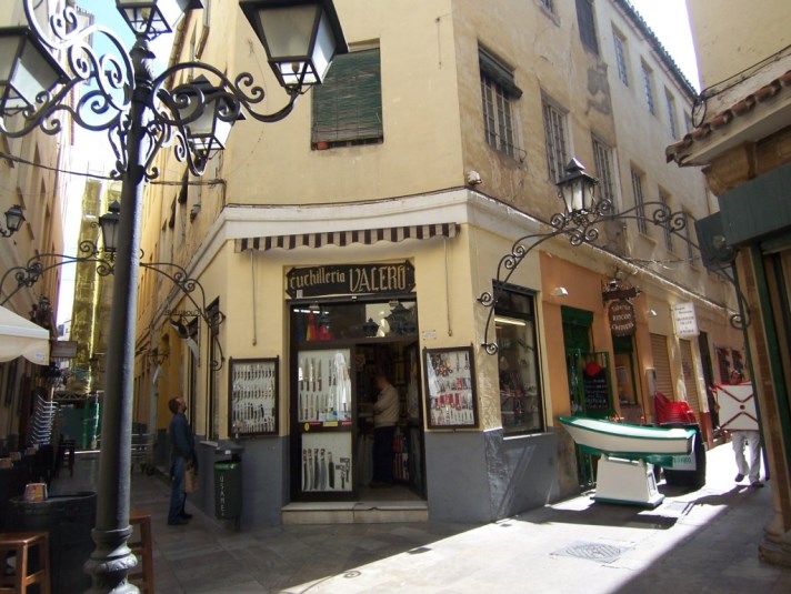 Ilustración de Málaga · generalidades y el centro