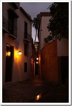 Ilustración de Málaga · generalidades y el centro