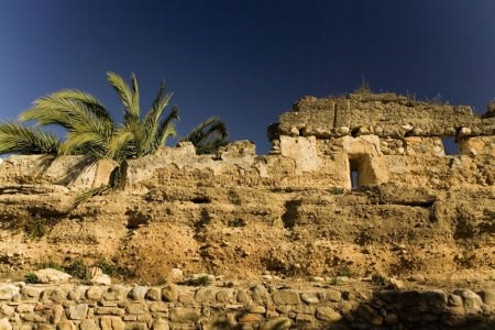 Ilustración de Marbella