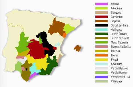 Ilustración de Monda