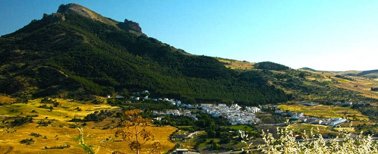 Ilustración de Montecorto