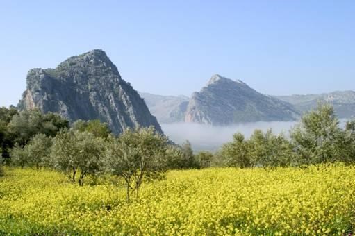 Ilustración de Montejaque