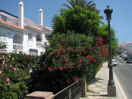 Ilustración de Nerja