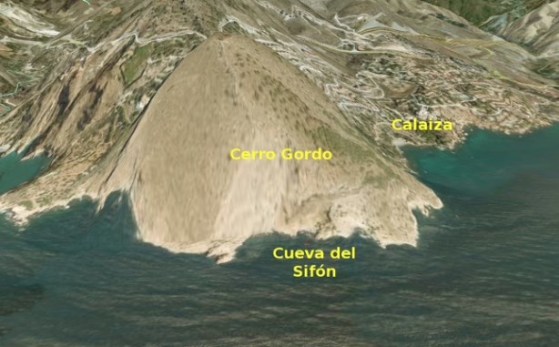Gaviota reidora