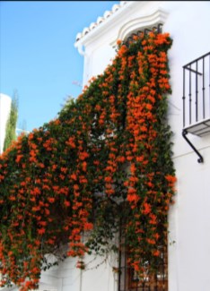 Ilustración de Nerja