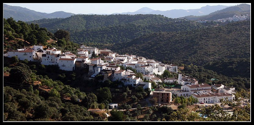 Parauta