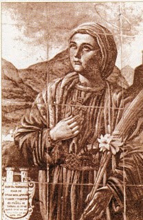 Ilustración de Parauta