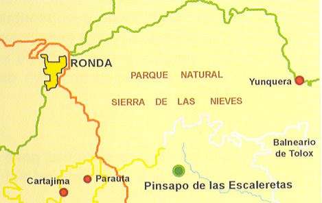 Ilustración de Parauta